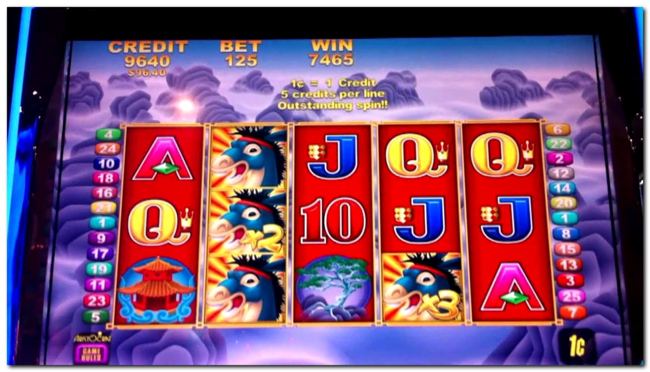 305% Deposit Match Bonus at Casino Dingo